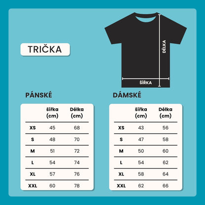 Pánské a dámské tričko I play vinyl